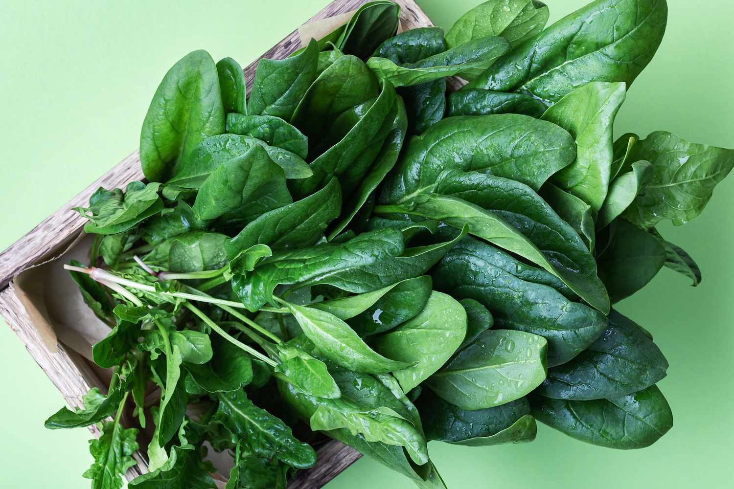 The 5 Super-foods for Your Brain