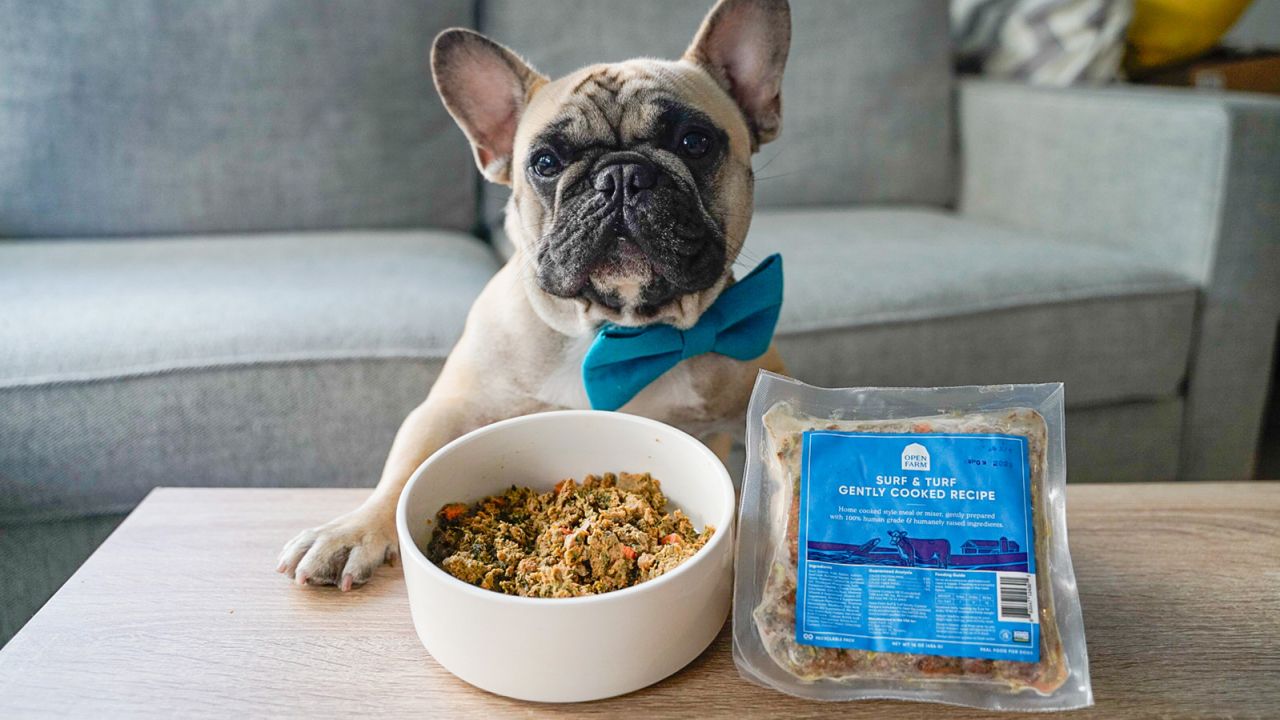 What to Look for in a HighQuality Pet Food