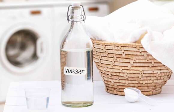 Benefits of Vinegar in Laundry